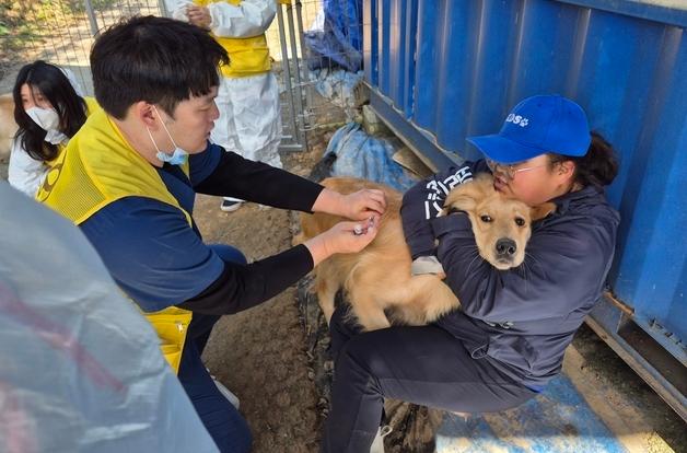 본동물의료센터, 구조동물 위한 꾸준한 행보…추계 봉사활동 진행