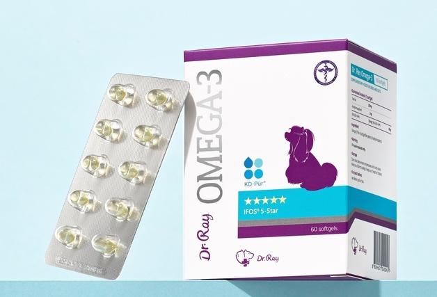 반려동물 영양제 '닥터레이', 일본 첫 수출 쾌거…"진정성 통해"