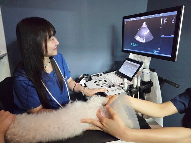 아프기 전 찾는다…옥길아라동물의료센터 '그린벳 검진' 인기 비결