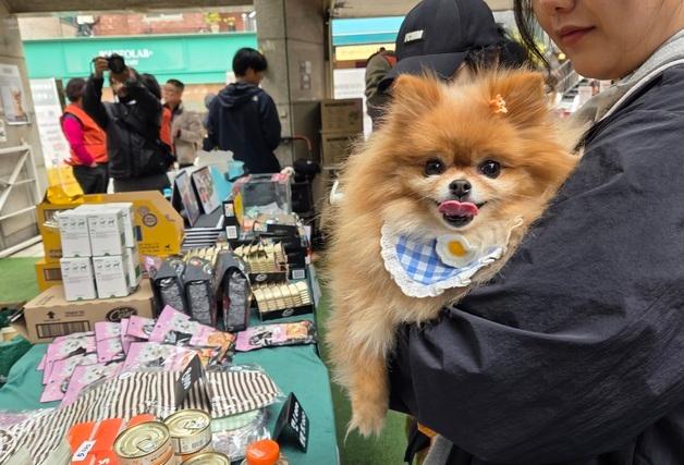 핫플 성수서 펼쳐진 착한 플렉스…'꼬리마을 습격' 바자회 인산인해