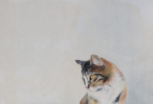 ‘이색안 고양이가 비추는 내면의 거울’ 한국화가 권민경 개인전