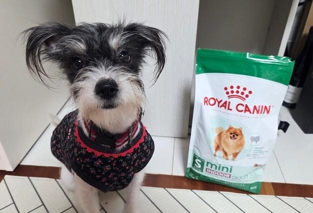 집 안에 갇힌 206마리…구조 후 회복 위해 로얄캐닌이 나섰다