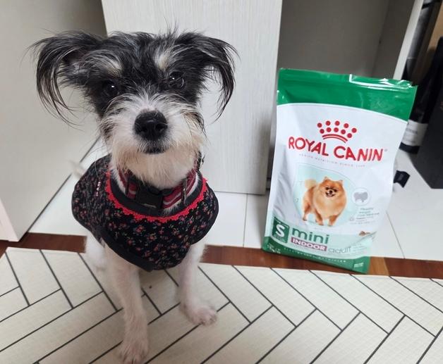 집 안에 갇힌 206마리…구조 후 회복 위해 로얄캐닌이 나섰다