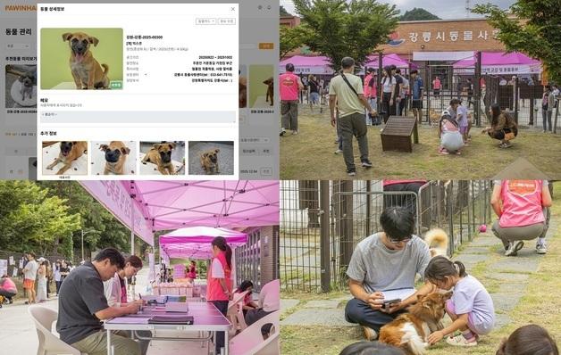 유기동물 정보 앱 포인핸드, 강릉시 입양률 3년 연속 상승 견인