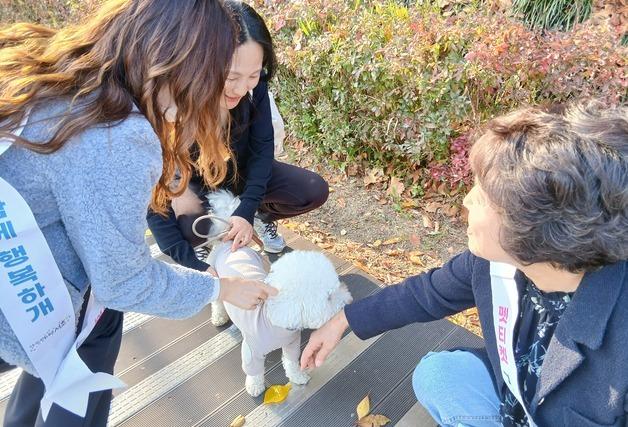 서초구, 동물등록제 자진신고제 확대…성숙한 반려문화 이끈다 