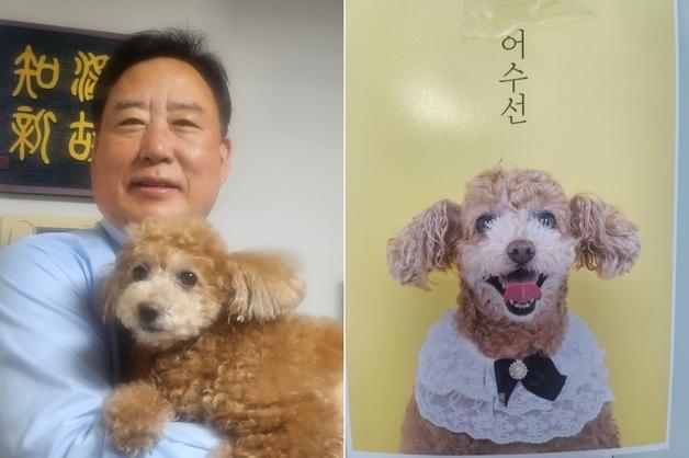 파양견 입양 후 국회의원 당선…"수선이는 우리 집 복덩이"