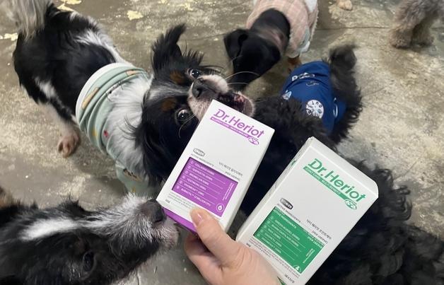 연말, 보호소 동물들 곁으로…어반포즈 3000만 원 규모 후원