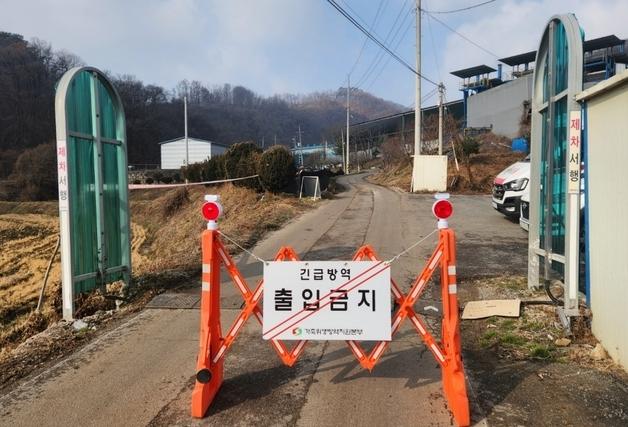 진천 메추리 농장서 AI 항원 검출…고병원성 여부 검사 중