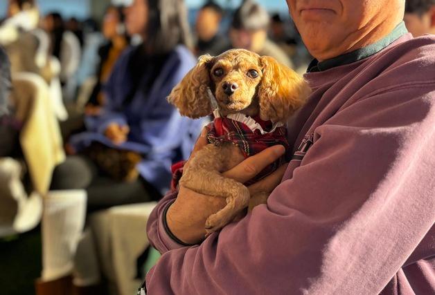 “너는 내 운명”…경기도 ‘반려마루 여주’ 홈커밍데이 개최