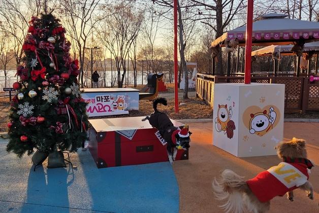 "크리스마스엔 난지한강공원 반려동물캠핑장으로"…이벤트도 실시
