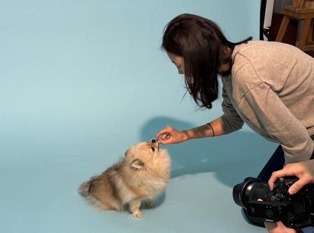 신제품 모델된 구조견, 새 가족 찾았다…네츄럴코어, 캠페인 성과