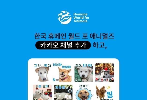 개 농장 구조견, 이모티콘으로 만난다…개식용 종식 메시지 전해