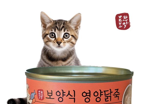 오엠코리아, 고양이용 보양식 '묘한보약 영양닭죽' 선보여