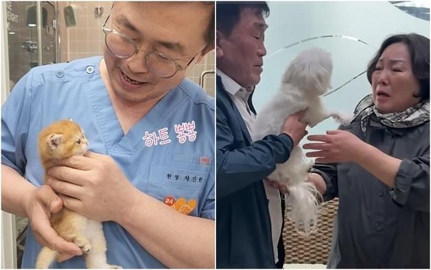 웃음과 눈물, 그리고 기적…올해를 빛낸 동물병원 화제의 영상은