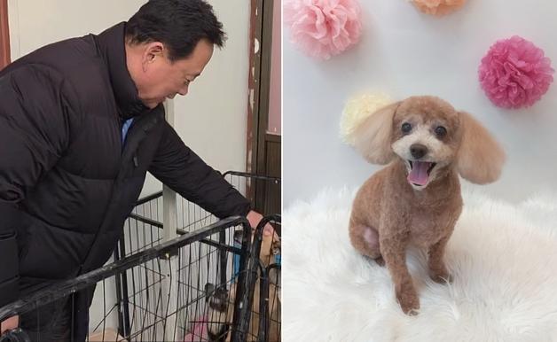 어기구 의원의 12살 푸들 '어수선'…이름 사연에 봉사 현장 웃음꽃