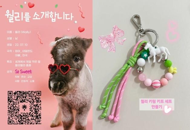 "얘들아, 반려마 월리랑 놀자"…4월 5·6일 '포니 페스티벌' 개최
