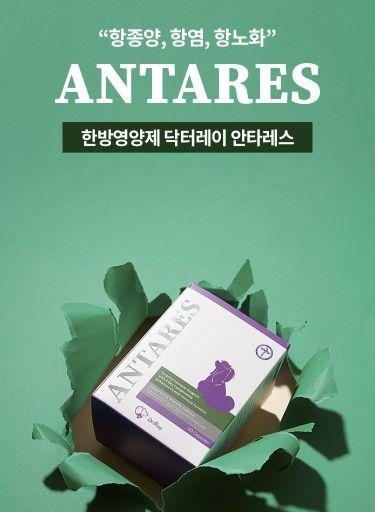 항종양·항염·항노화 한번에…닥터레이, 한방영양제 '안타레스' 출시