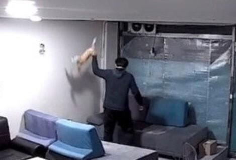 6개월 새끼 고양이 밤새 패대기·물고문…'폭행 전과' 30대 징역형