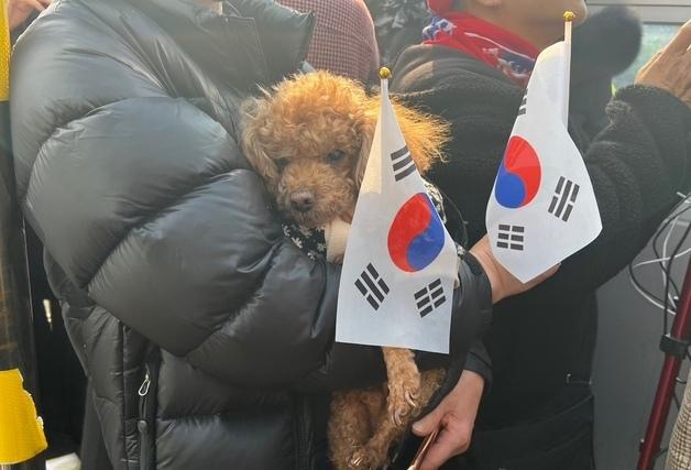 "멸공강아지 귀여워"…소음 민감한 반려견 집회·시위 동행에 우려도