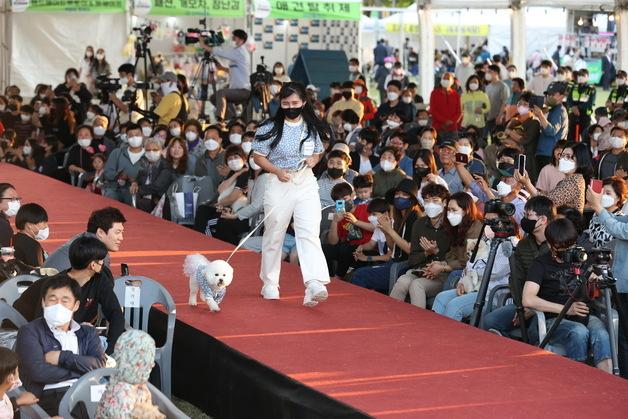 반려동물 문화 대축제 '2025 임실N펫스타' 3일 오수서 개막
