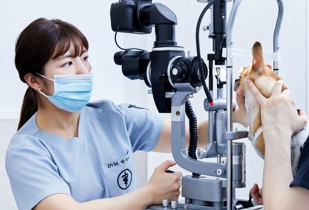 계양스카이동물메디컬센터, 안과센터 개설…"전공 수의사가 수술"