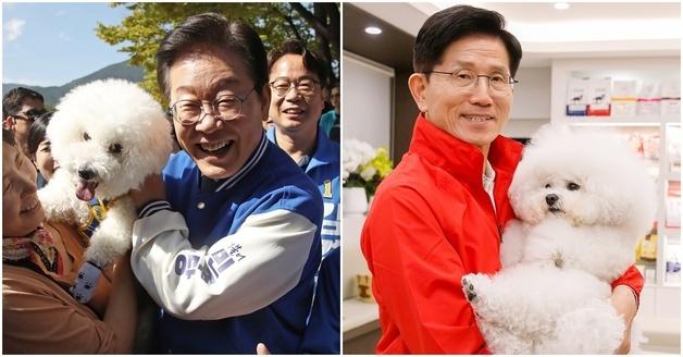 "반려동물 병원비 낮춘다?"…보호자 마음 흔드는 '공약의 역설'