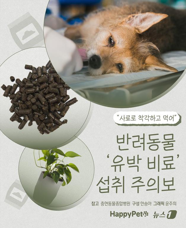 "사료처럼 생겼네"…반려동물 '유박비료' 섭취 주의보[펫카드]