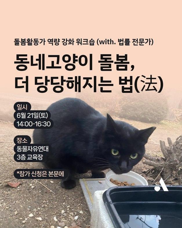 당당한 돌봄을 위한 첫걸음…'동네 고양이 법률 워크숍' 열린다