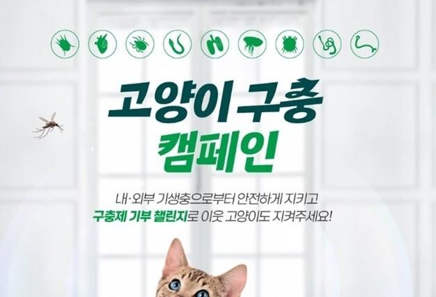 "집고양이도 구충해야"…베링거인겔하임동물약품, '냥신'과 캠페인