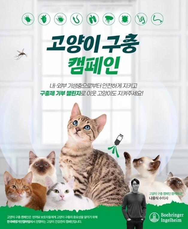 "집고양이도 구충해야"…베링거인겔하임동물약품, '냥신'과 캠페인