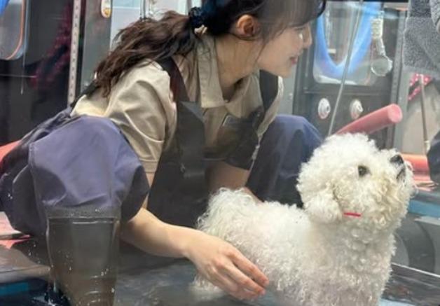 "반려동물 재활테크니션 실무과정 KCRT 2급 신청하세요"