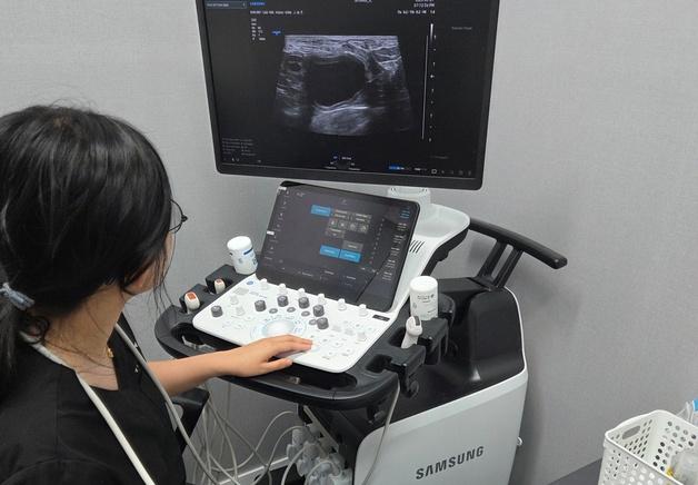 스카이동물메디컬센터, '삼성 소노 VET 아카데미 in 광주' 7월 개최
