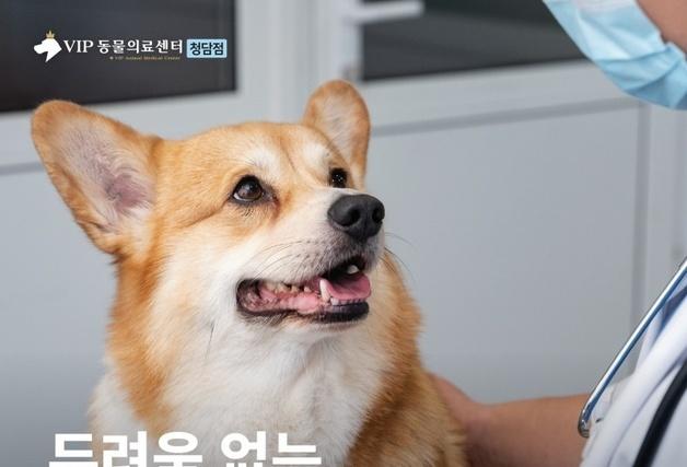 아시아 최초 '피어프리 동물병원' 탄생…VIP동물의료센터 공식 인증