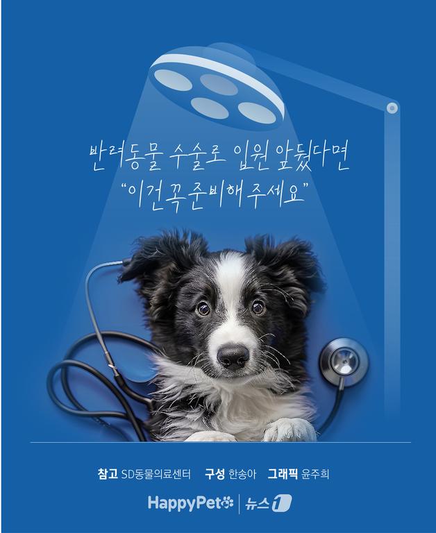 반려동물 수술로 입원 앞뒀다면…"이것 꼭 준비해주세요"[펫카드]