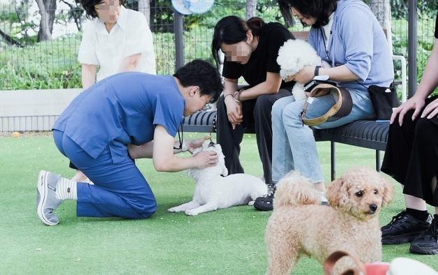 무릎 꿇은 수의사, 강아지와 눈맞춤…월드펫, 반려가족과 소통