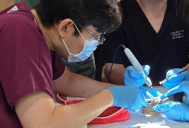 "구내염 걸린 뱀에 물리고…톱 들고 거북 발톱 자르죠"[펫피플]