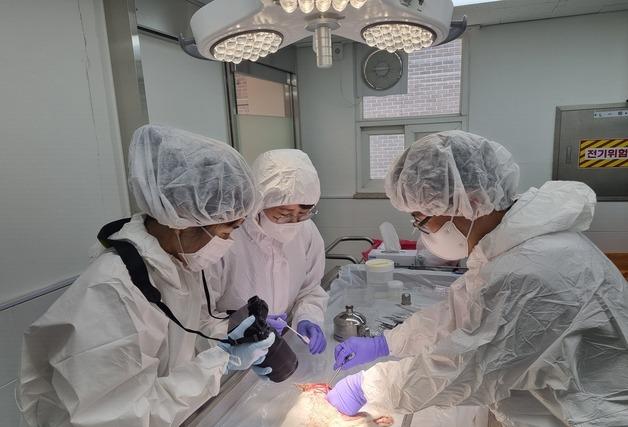경기도, 동물의 죽음 이유 밝혀낸다…동물 학대 의심 사건 대응