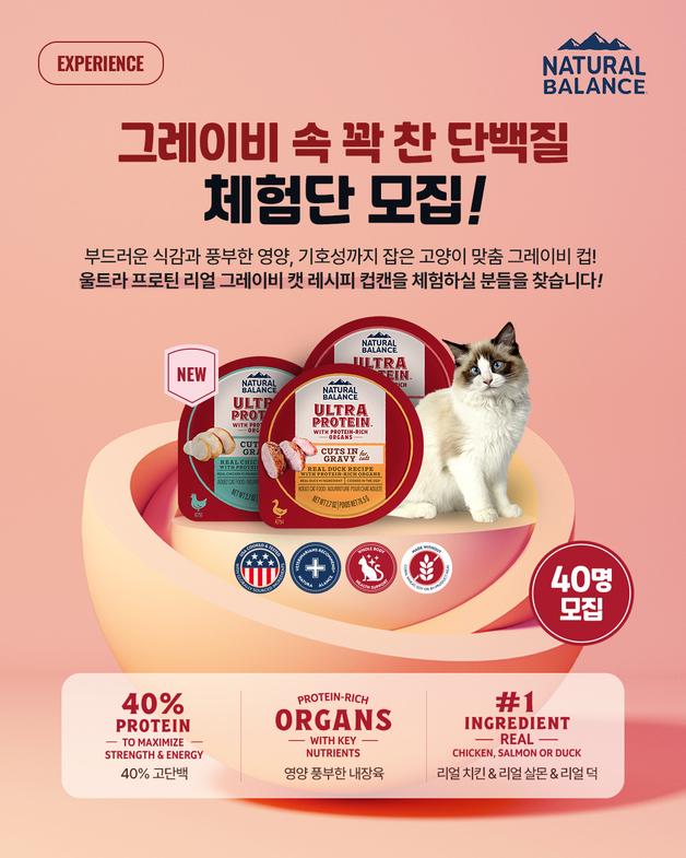 우리 고양이도 리얼 치킨 먹일까…내추럴발란스, 습식 체험단 모집