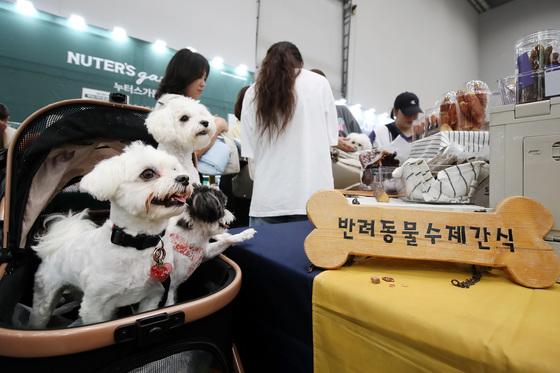 aT, 국내 반려동물산업 해외진출 지원 전문교육 진행