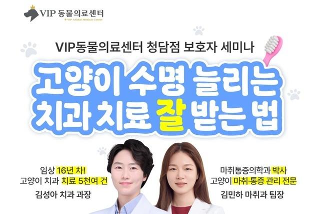 고양이 치과 치료 잘 받는 법은…VIP동물의료센터, 9월28일 세미나