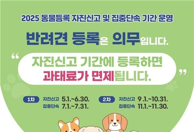 전북도 10월까지 반려견 등록 자진신고기간…11월 집중단속