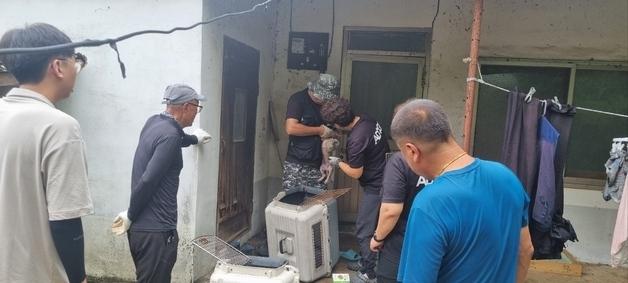 김제 유기동물보호센터, 피부병 앓던 유기견 11마리 구조
