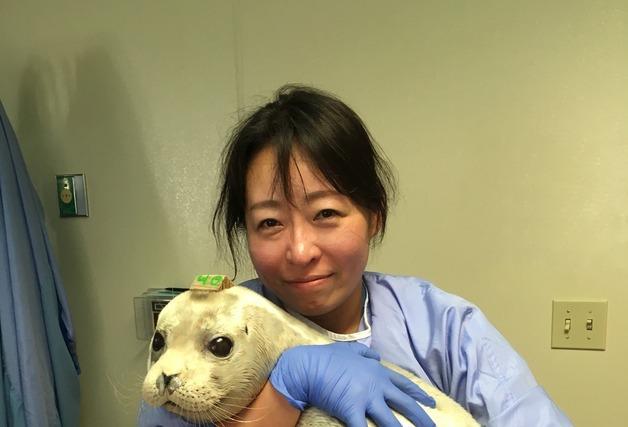 상괭이에 무슨 일이…대한수의사회, 혼획 고래류 질병 연구 지원