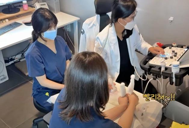 "빨리해" 엑스레이 찍던 고양이가 한국말을?…두 귀를 의심했다