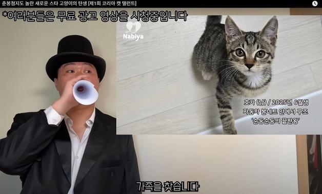 '고팔남'은 옛말…언더월드 송하빈, 고양이 입양 돕는 따뜻한 센스