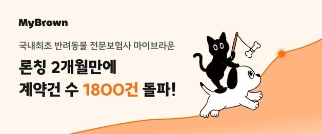 "반려동물만 생각한 보험 통했다"…마이브라운, 계약 1800건 돌파