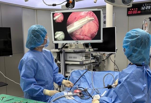 본동물의료센터, 복강경으로 반려견 부신종양 절제…"회복 빨라"