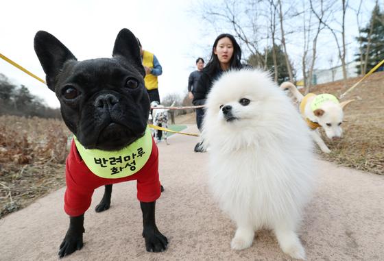 검역본부 "'동물용 신약 전담 심사팀' 통해 업계 맞춤 지원 확대"