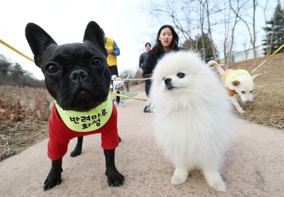검역본부 "'동물용 신약 전담 심사팀' 통해 업계 맞춤 지원 확대"