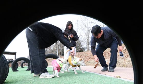 대전시, 사회적 약자 반려동물 의료비 지원…1인당 최대 20만원